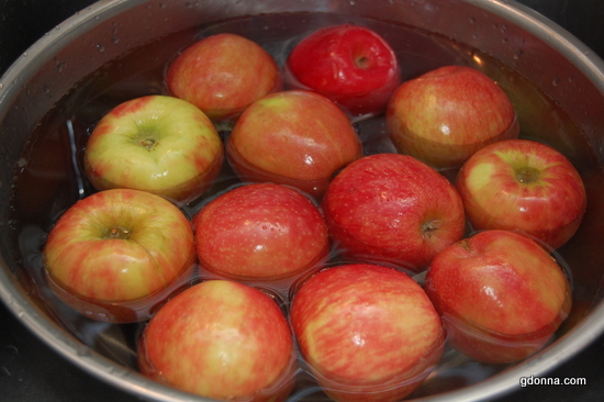 Dehydrating Apples